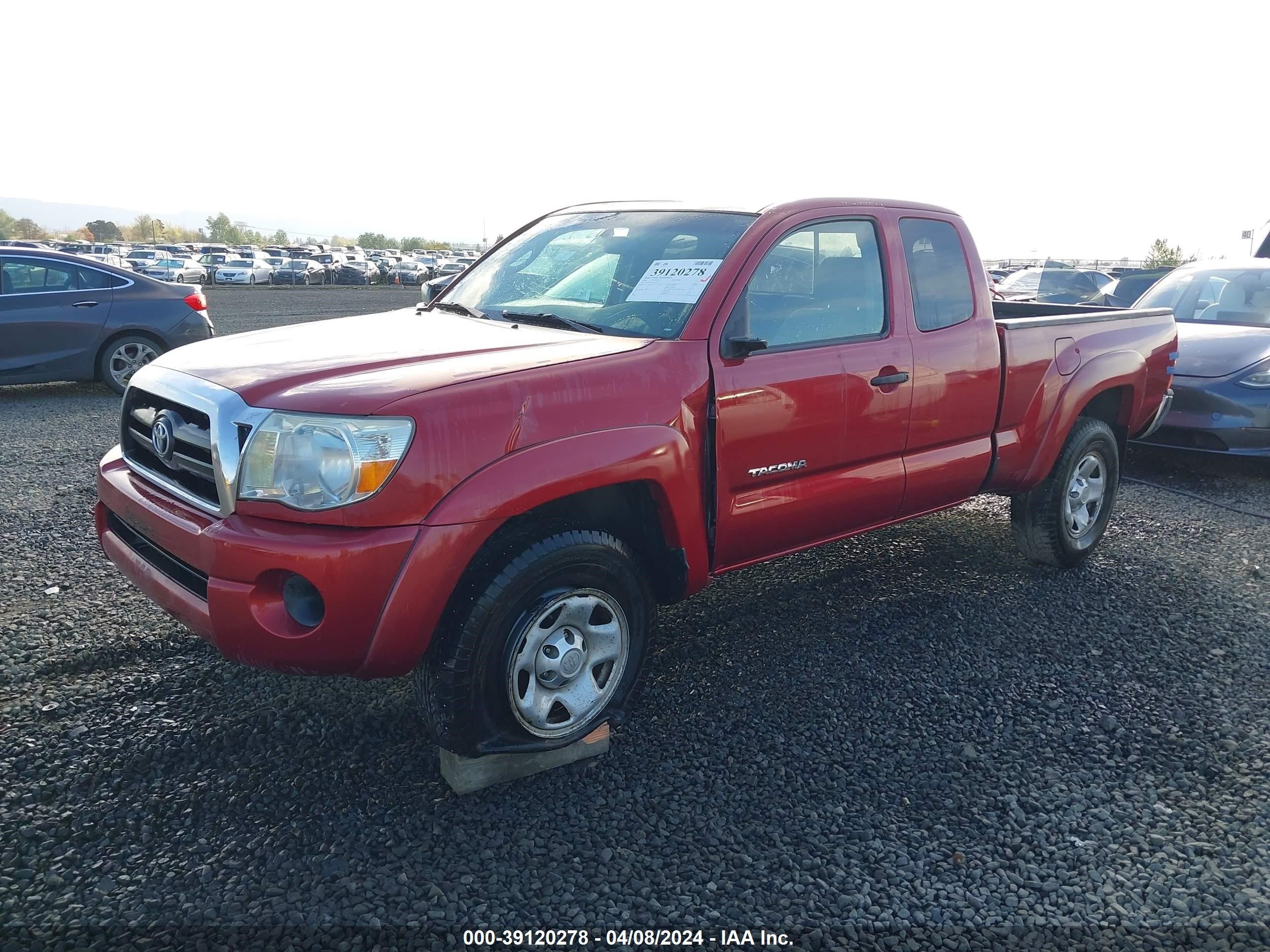 Photo 1 VIN: 5TEUX42N36Z203275 - TOYOTA TACOMA 