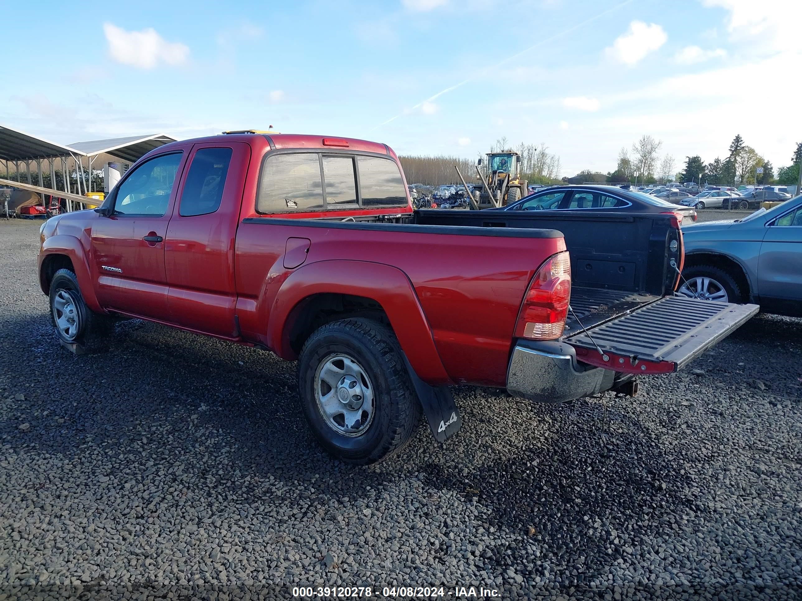 Photo 2 VIN: 5TEUX42N36Z203275 - TOYOTA TACOMA 