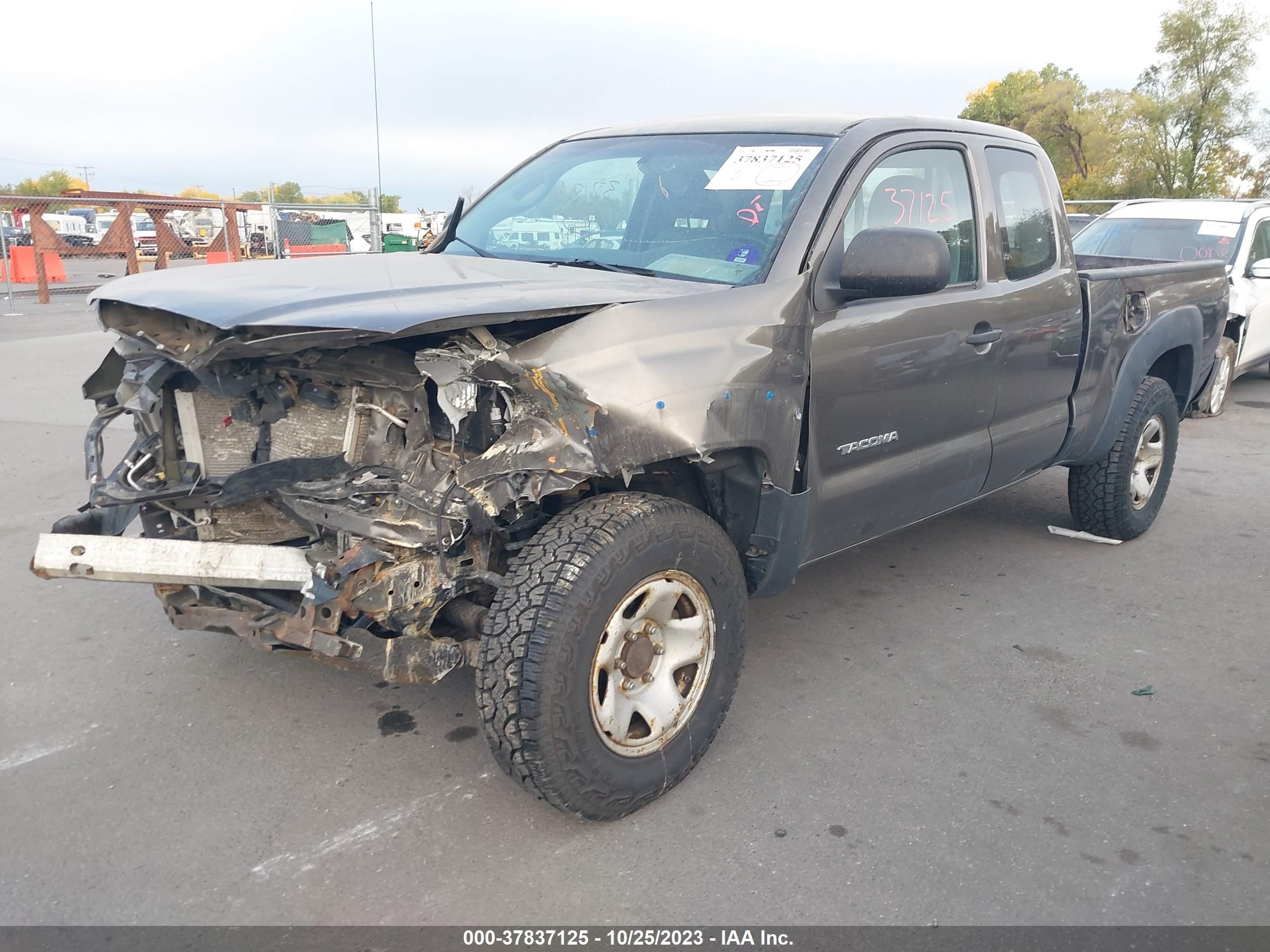 Photo 1 VIN: 5TEUX42N49Z595610 - TOYOTA TACOMA 