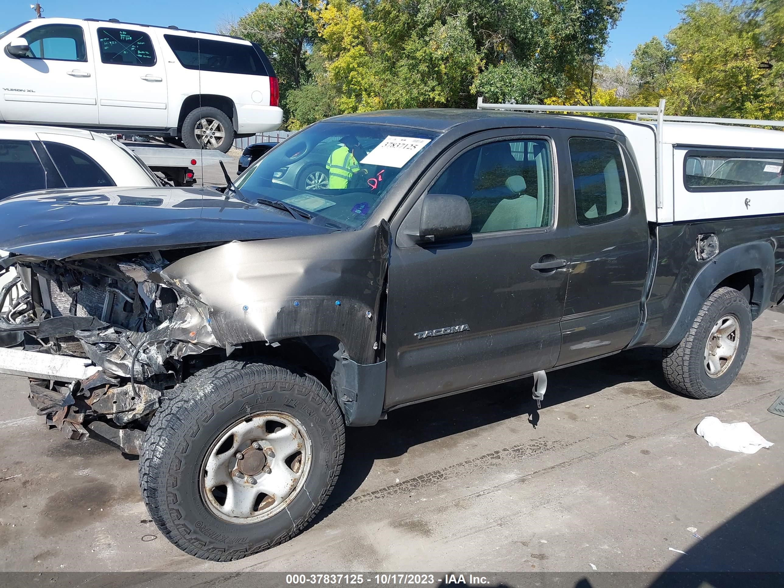 Photo 14 VIN: 5TEUX42N49Z595610 - TOYOTA TACOMA 