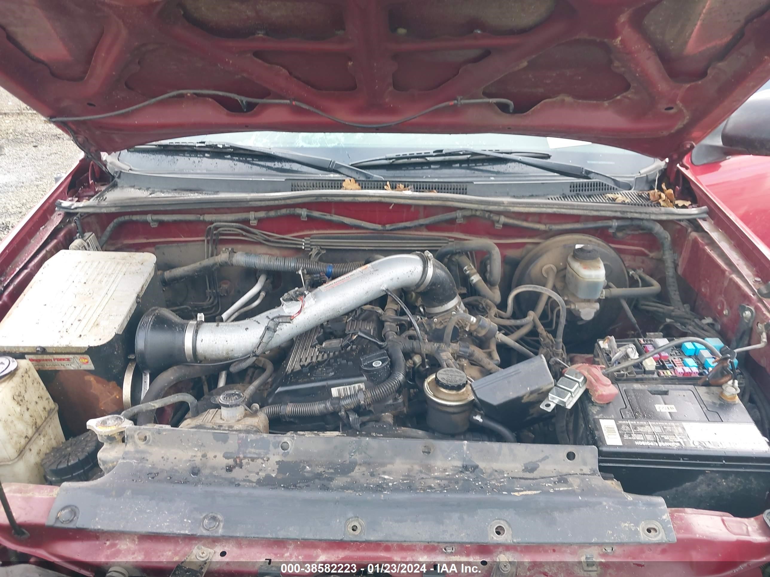 Photo 9 VIN: 5TEUX42N76Z246386 - TOYOTA TACOMA 