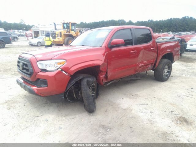 Photo 1 VIN: 5TFAX5GN5LX187794 - TOYOTA TACOMA 