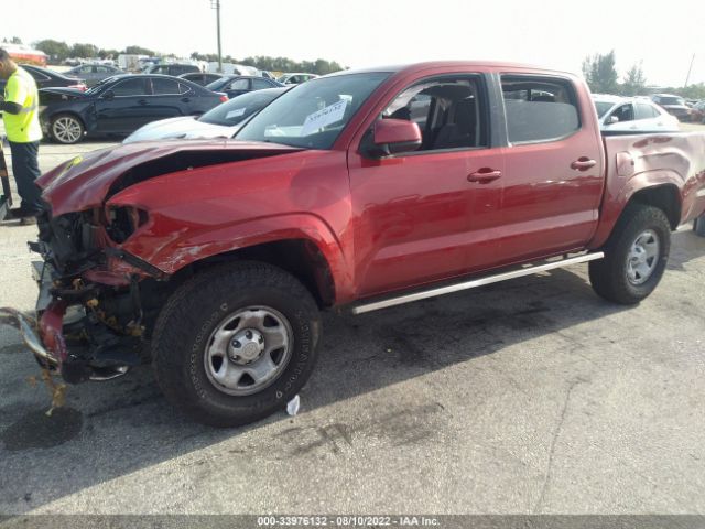 Photo 1 VIN: 5TFAX5GN9KX141920 - TOYOTA TACOMA 2WD 