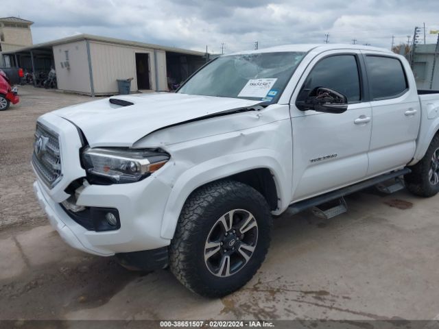 Photo 5 VIN: 5TFAZ5CN1HX031517 - TOYOTA TACOMA 