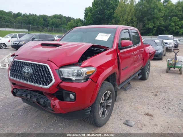 Photo 1 VIN: 5TFCZ5AN1KX185504 - TOYOTA TACOMA 