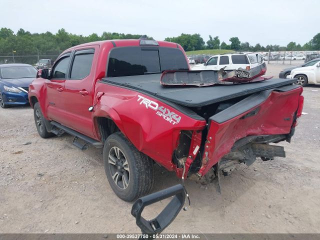 Photo 2 VIN: 5TFCZ5AN1KX185504 - TOYOTA TACOMA 