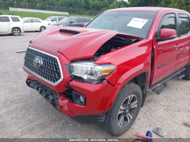 Photo 5 VIN: 5TFCZ5AN1KX185504 - TOYOTA TACOMA 