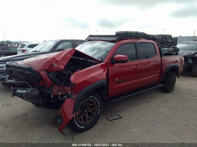 Photo 1 VIN: 5TFCZ5AN2MX245504 - TOYOTA TACOMA 4WD 