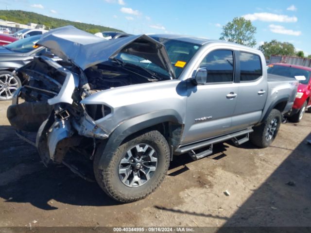 Photo 1 VIN: 5TFCZ5AN2MX256681 - TOYOTA TACOMA 