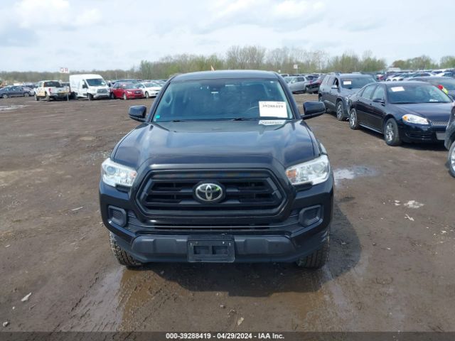 Photo 5 VIN: 5TFCZ5AN3LX231948 - TOYOTA TACOMA 