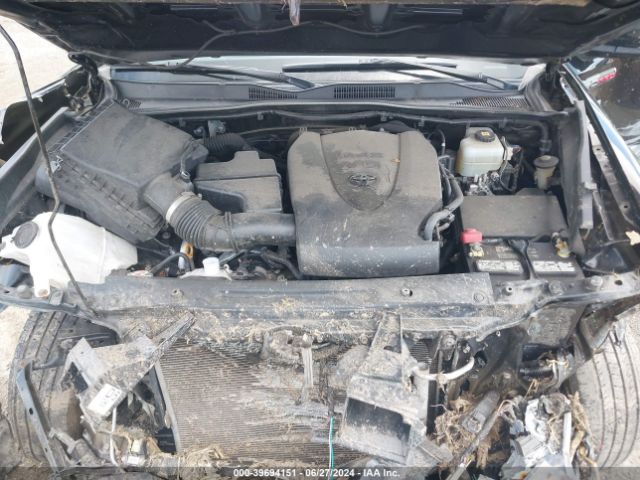 Photo 9 VIN: 5TFCZ5AN4MX246587 - TOYOTA TACOMA 