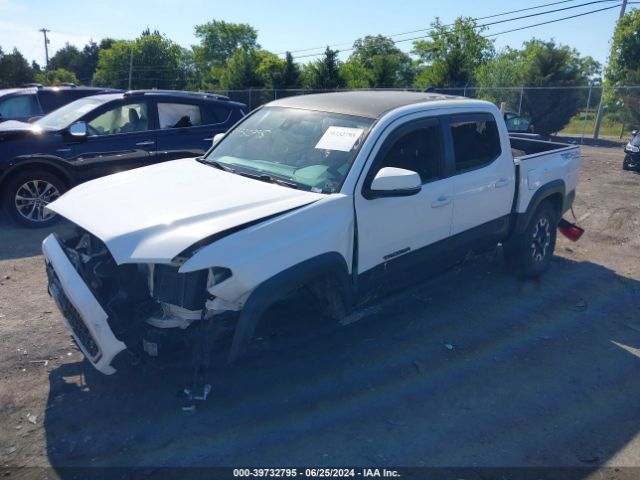 Photo 1 VIN: 5TFCZ5AN5KX174344 - TOYOTA TACOMA 