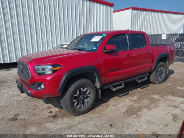 Photo 1 VIN: 5TFCZ5AN6MX246719 - TOYOTA TACOMA 