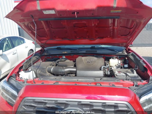 Photo 9 VIN: 5TFCZ5AN6MX246719 - TOYOTA TACOMA 