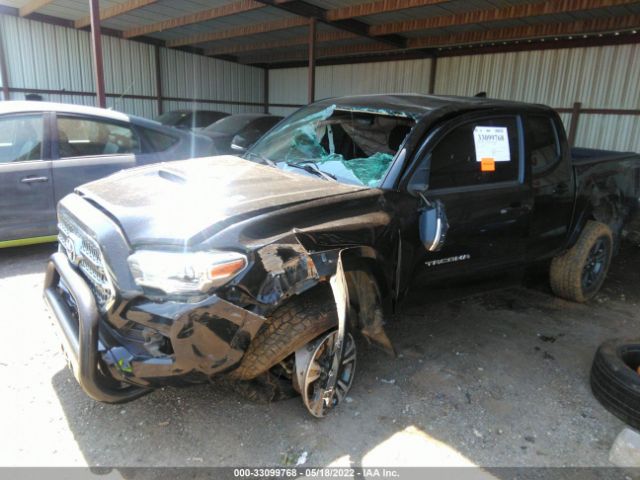 Photo 5 VIN: 5TFCZ5AN7HX090910 - TOYOTA TACOMA 