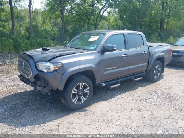 Photo 1 VIN: 5TFCZ5AN7HX115806 - TOYOTA TACOMA 