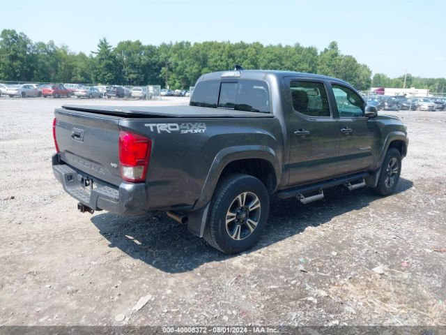 Photo 3 VIN: 5TFCZ5AN7HX115806 - TOYOTA TACOMA 