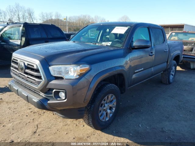 Photo 1 VIN: 5TFCZ5AN7KX185572 - TOYOTA TACOMA 