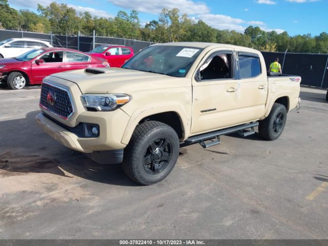 Photo 1 VIN: 5TFCZ5AN8JX145810 - TOYOTA TACOMA 