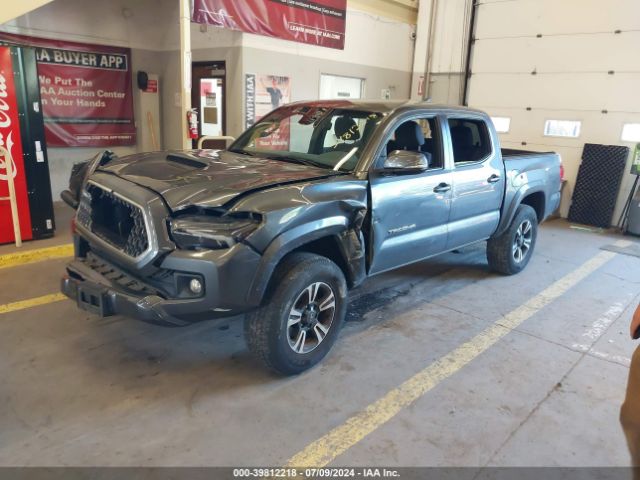 Photo 1 VIN: 5TFCZ5AN8KX178324 - TOYOTA TACOMA 