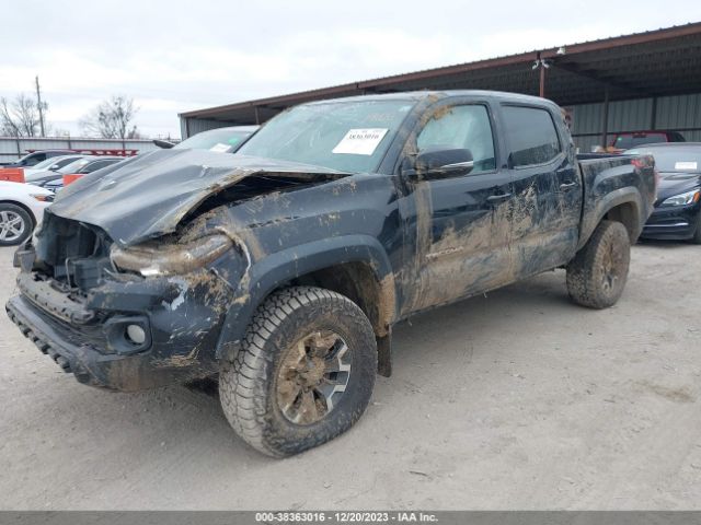 Photo 1 VIN: 5TFCZ5AN8LX228463 - TOYOTA TACOMA 