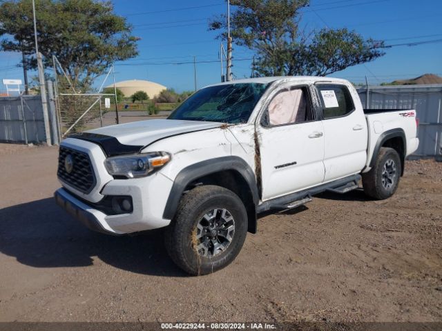 Photo 1 VIN: 5TFCZ5AN8MX246205 - TOYOTA TACOMA 