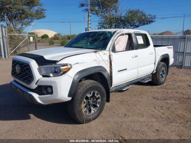 Photo 5 VIN: 5TFCZ5AN8MX246205 - TOYOTA TACOMA 