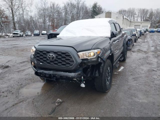 Photo 5 VIN: 5TFCZ5AN8MX254899 - TOYOTA TACOMA 