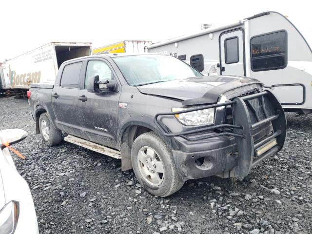 Photo 3 VIN: 5TFDY5F12DX322675 - TOYOTA TUNDRA CRE 