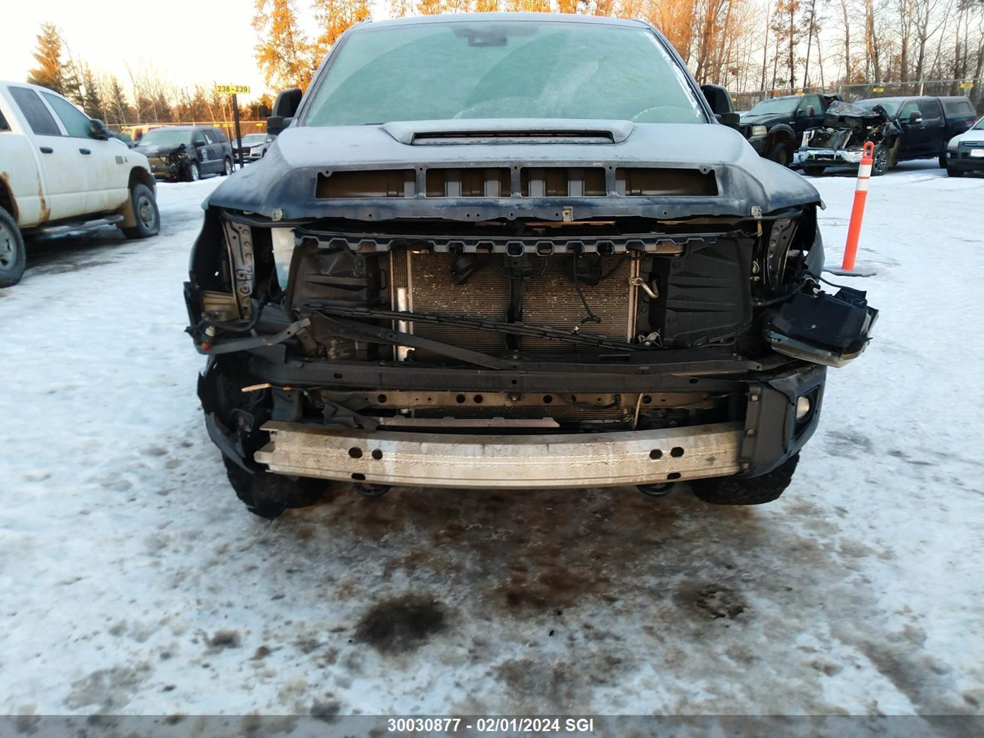 Photo 5 VIN: 5TFDY5F14LX875164 - TOYOTA TUNDRA 