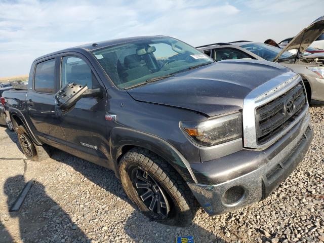 Photo 3 VIN: 5TFDY5F16BX209535 - TOYOTA TUNDRA CRE 