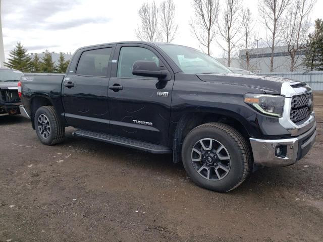 Photo 3 VIN: 5TFDY5F19LX890601 - TOYOTA TUNDRA CRE 