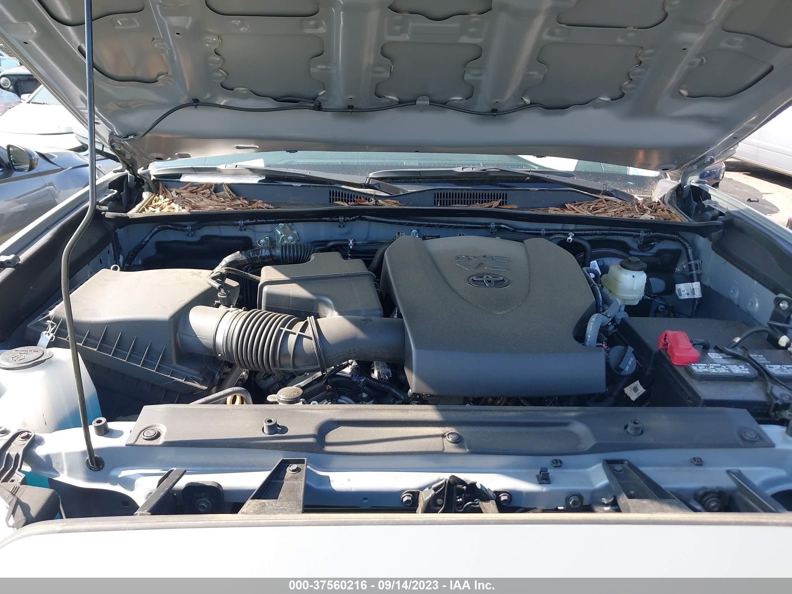 Photo 9 VIN: 5TFDZ5BN1MX059228 - TOYOTA TACOMA 