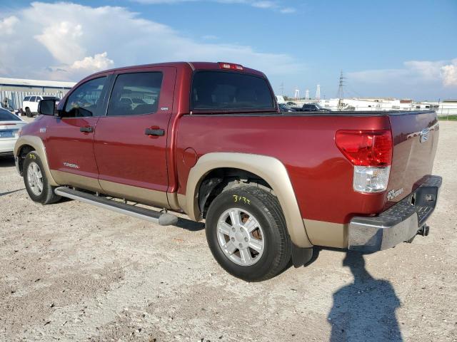 Photo 1 VIN: 5TFEY5F13AX087462 - TOYOTA TUNDRA 