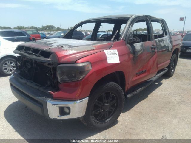 Photo 1 VIN: 5TFEY5F13FX192204 - TOYOTA TUNDRA 2WD TRUCK 