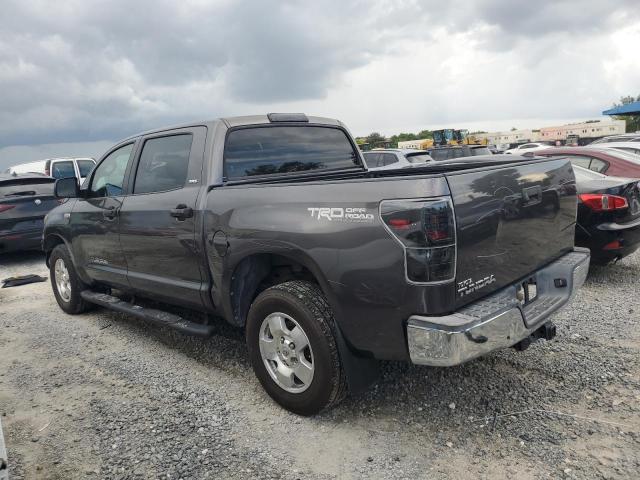 Photo 1 VIN: 5TFEY5F19DX135180 - TOYOTA TUNDRA CRE 