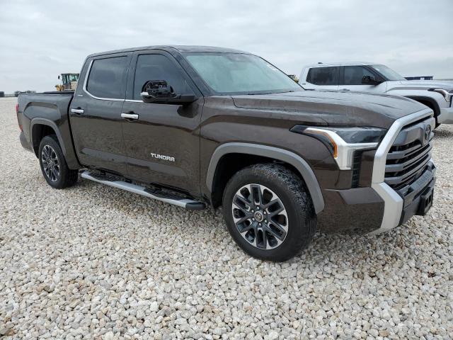 Photo 3 VIN: 5TFJA5AB2NX005259 - TOYOTA TUNDRA 