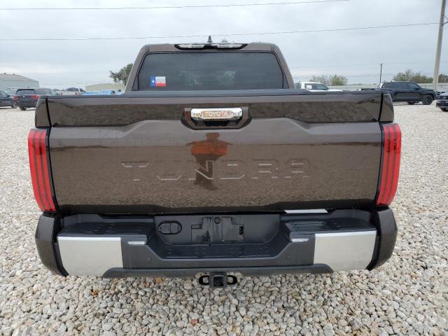 Photo 5 VIN: 5TFJA5AB2NX005259 - TOYOTA TUNDRA 