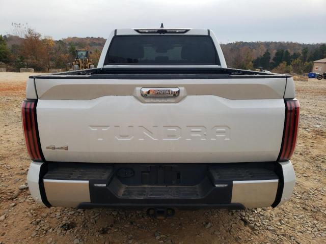 Photo 5 VIN: 5TFJA5DB0NX015980 - TOYOTA TUNDRA 