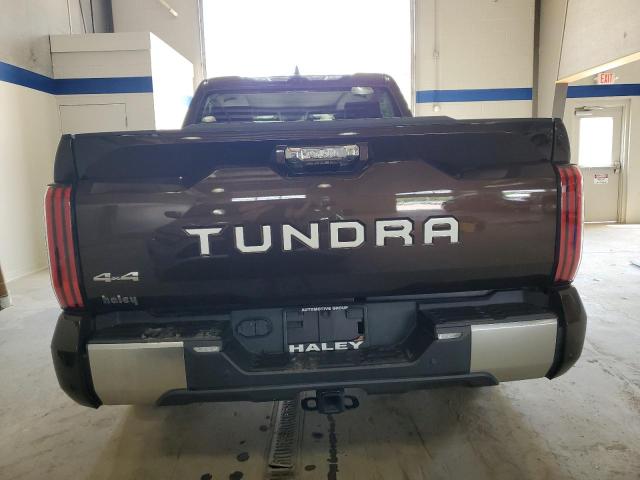 Photo 5 VIN: 5TFJA5DB0NX036540 - TOYOTA TUNDRA CRE 