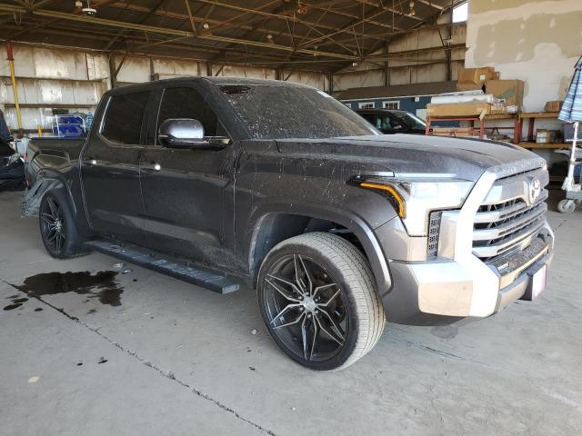 Photo 3 VIN: 5TFJA5DB1PX081151 - TOYOTA TUNDRA CRE 