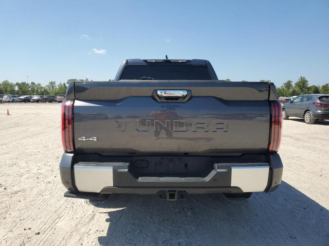 Photo 5 VIN: 5TFJA5DB2PX114108 - TOYOTA TUNDRA CRE 