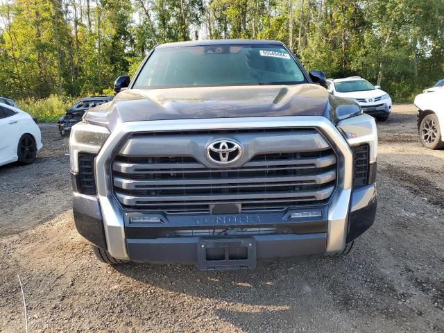 Photo 4 VIN: 5TFJA5DB3NX056412 - TOYOTA TUNDRA CRE 