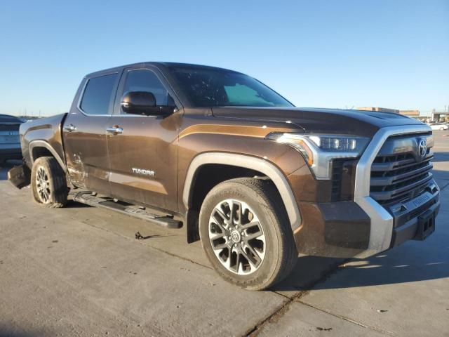 Photo 3 VIN: 5TFJA5DB4RX202175 - TOYOTA TUNDRA CRE 