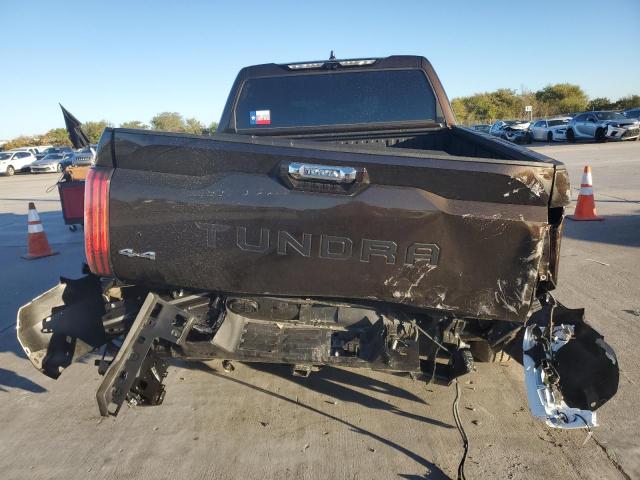 Photo 5 VIN: 5TFJA5DB4RX202175 - TOYOTA TUNDRA CRE 