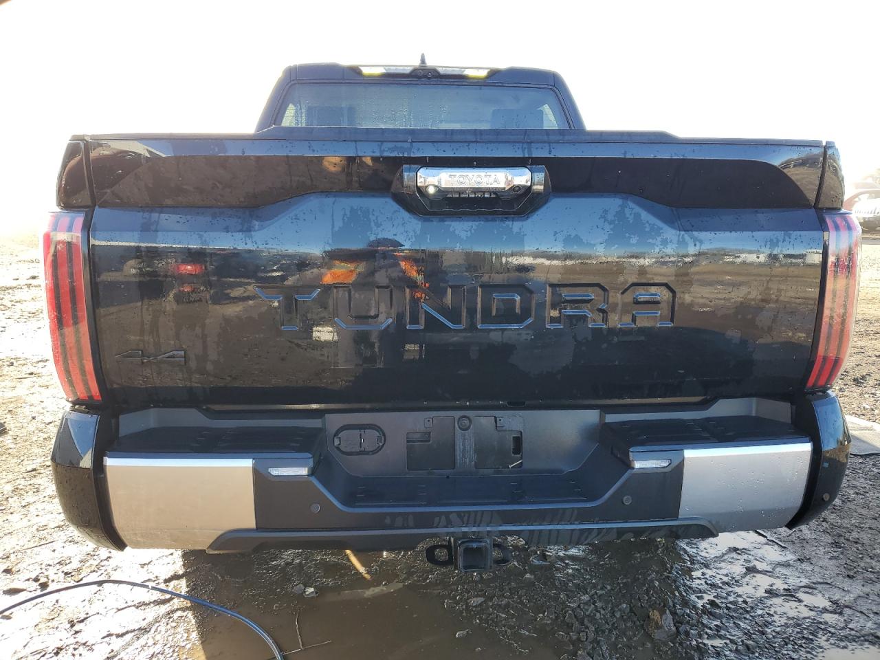 Photo 5 VIN: 5TFJA5DB6PX078018 - TOYOTA TUNDRA 