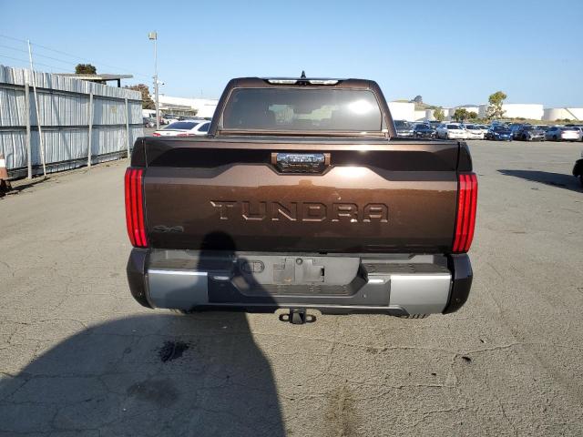 Photo 5 VIN: 5TFJA5DB6PX108134 - TOYOTA TUNDRA CRE 