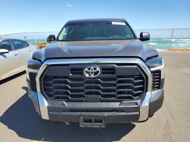 Photo 4 VIN: 5TFLA5AA3PX022431 - TOYOTA TUNDRA DOU 