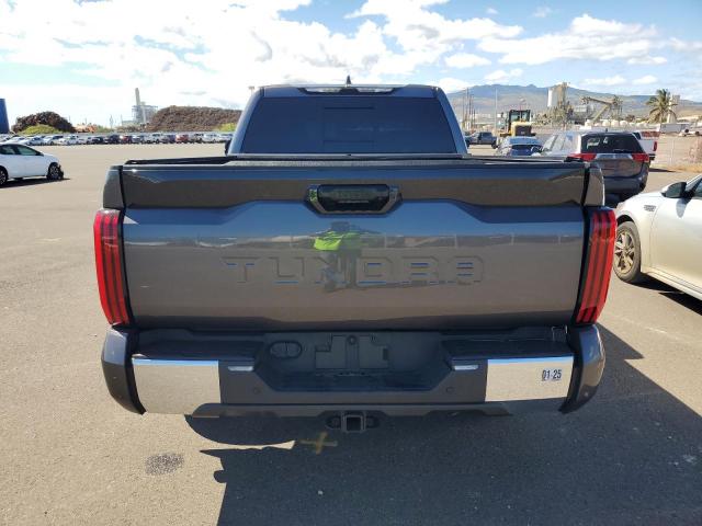 Photo 5 VIN: 5TFLA5AA3PX022431 - TOYOTA TUNDRA DOU 