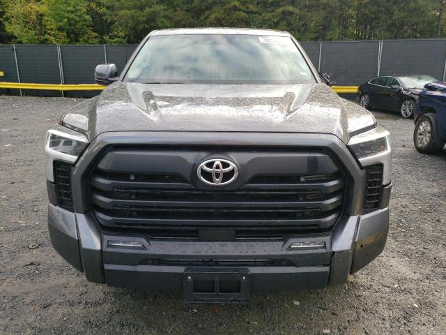 Photo 4 VIN: 5TFLA5ABXPX023391 - TOYOTA TUNDRA CRE 